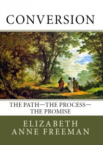 Conversion BookCover front